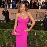 Fuchsia Bandeau Dress Accessories