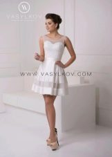 Lush short wedding dress from Vasilkov