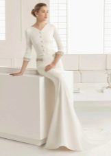 Rosa Clara wedding dress straight