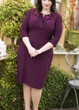 Mid-length eggplant dress for curvy ladies