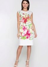 Floral Print Everyday Dress