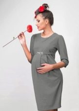 Autumn Maternity Dress Sheath