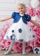 Bolero for a ball gown knee-length for a girl