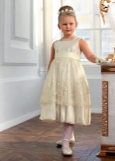 Elegant dress for a fat A-line girl