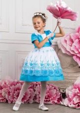 Elegant fluffy dress for girls