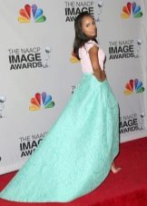 Delicate long skirt with a train
