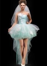 Skirt Tulle tutu with train