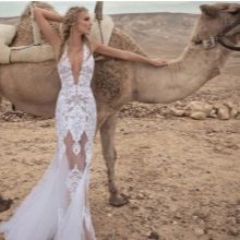 Zoog Bridal Wedding Dress Lace V-Neck