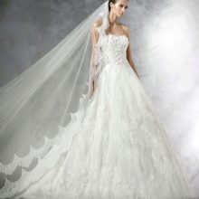Pronovias 레이스 웨딩 드레스