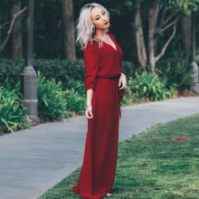 Fall / Spring Polyester Long Dress