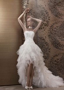Wedding dress short in front, long in back