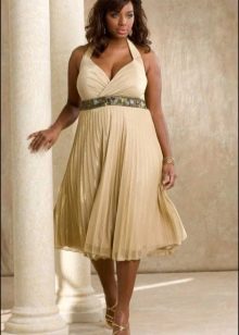 Empire dairy evening dress for the full for the wedding