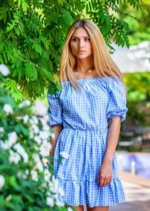 Blue country plaid dress