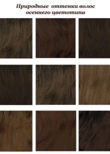 Hair shades of the Autumn color type