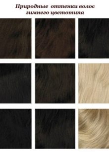 Shades of hair inherent in the Winter color type