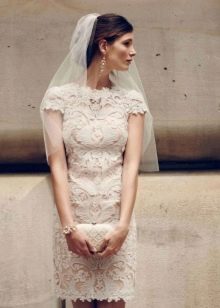 Light Peach Lace Sheath Wedding Dress