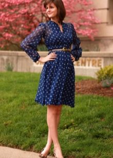 Long Sleeve Chiffon Polka Dot Dress