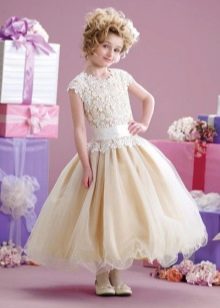 Elegant puffy dress with a low waist for a girl
