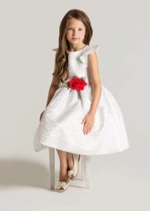 Chic wedding puffy dress short for girls