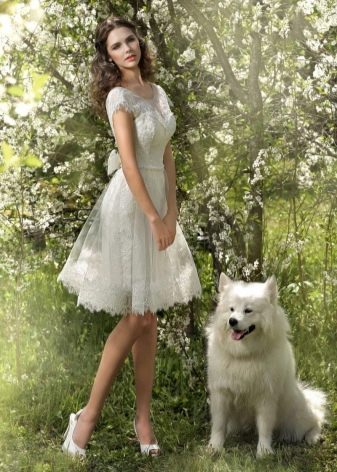 Short wedding dress from Dragonfly