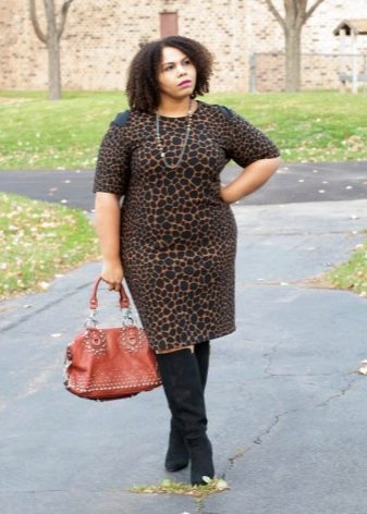 Black suede to a leopard dress-sheath for obese women