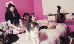 Жена и котки: учените са разбрали какви са характеристиките на женските котки и защо мислим за тях по-зле от необходимото