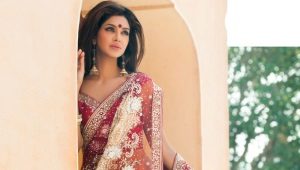 Sari - dress of Hindu goddesses and ordinary Indian women