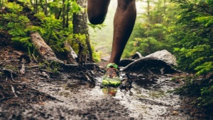 Cross Country Sneakers