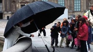 Family umbrella