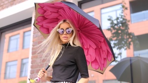 Umbrellas Pasotti