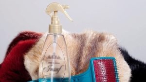 How to clean fur at home?