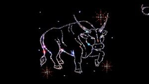 Union of Taurus with Taurus: the secrets of harmonious relationships