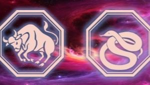 Taurus-Snake woman: personality description and horoscope