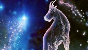 Characteristics and compatibility of a Capricorn woman born in the year of the Rat
