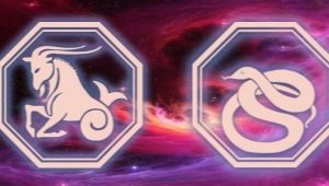 Characteristics of the Capricorn Man born in the year of the Snake