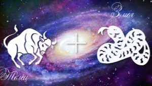 Taurus-Snake man: personality traits and compatibility