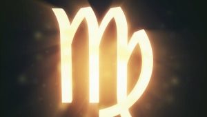 Characteristics and compatibility of a Virgo man born in the year of the Dragon