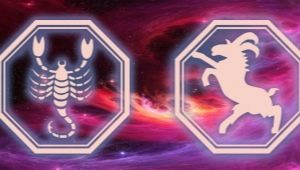 Characteristics and compatibility of a Scorpio man born in the year of the Goat