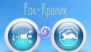 Χαρακτηριστικά μιας γυναίκας Καρκίνου που γεννήθηκε το έτος του Κουνελιού