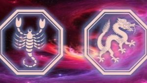 Characteristics of the Scorpio woman born in the Year of the Dragon
