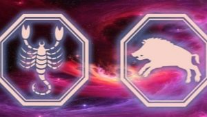 Characteristics of a Scorpio woman born in the Year of the Pig