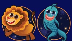 Leo and Pisces: characteristics of relationships and compatibility