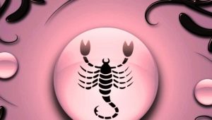 Scorpio man, born in the Monkey year: characteristics and compatibility