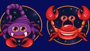 Scorpio and Cancer: characteristics of the union of the signs of Water and possible relationship problems