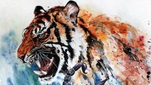 Scorpio woman born in the year of the Tiger: characteristics and compatibility