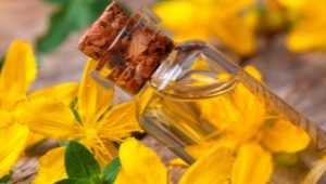 Celandine oil: properties, preparation and application