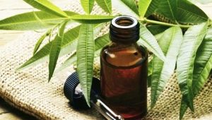 Properties and recommendations for the use of tea tree oil for nail fungus