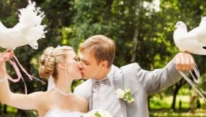Doves at a wedding - all about the peculiarities of tradition