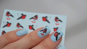 How to use nail stickers at home correctly?