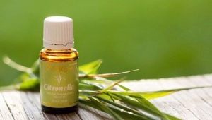 Citronella oil: properties and uses